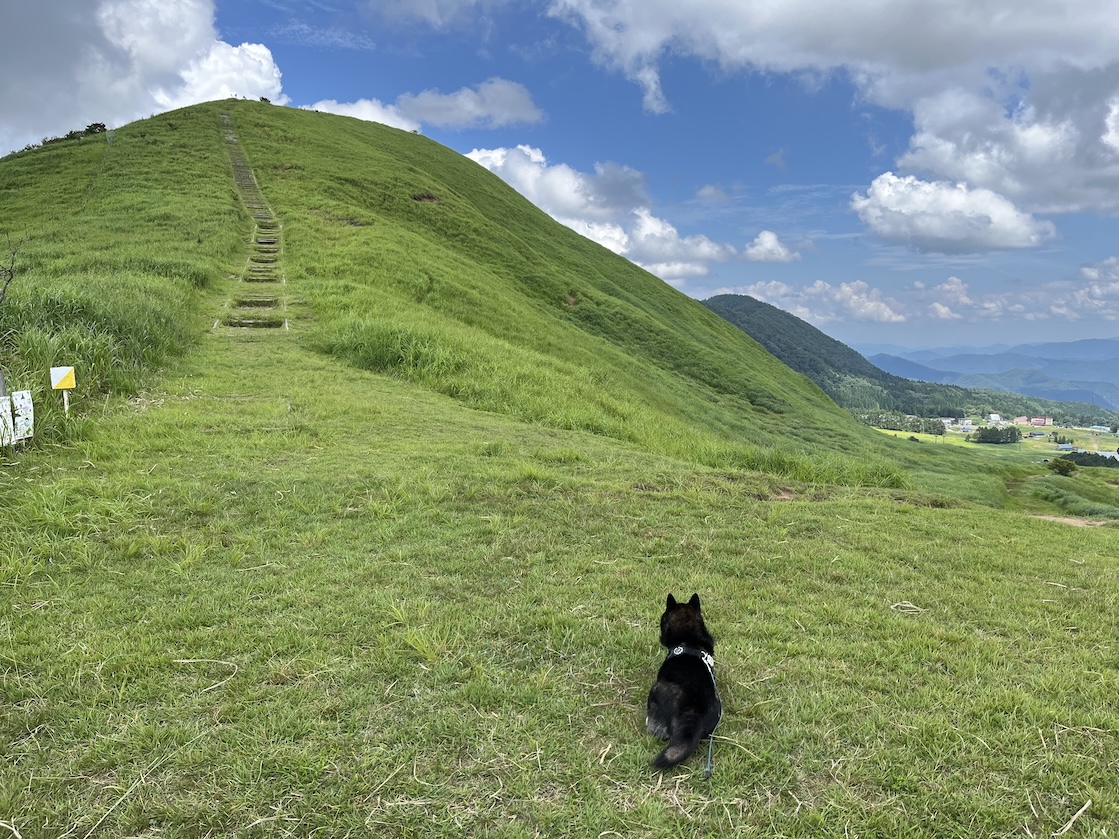My Craft & Life Log - 愛犬の写真